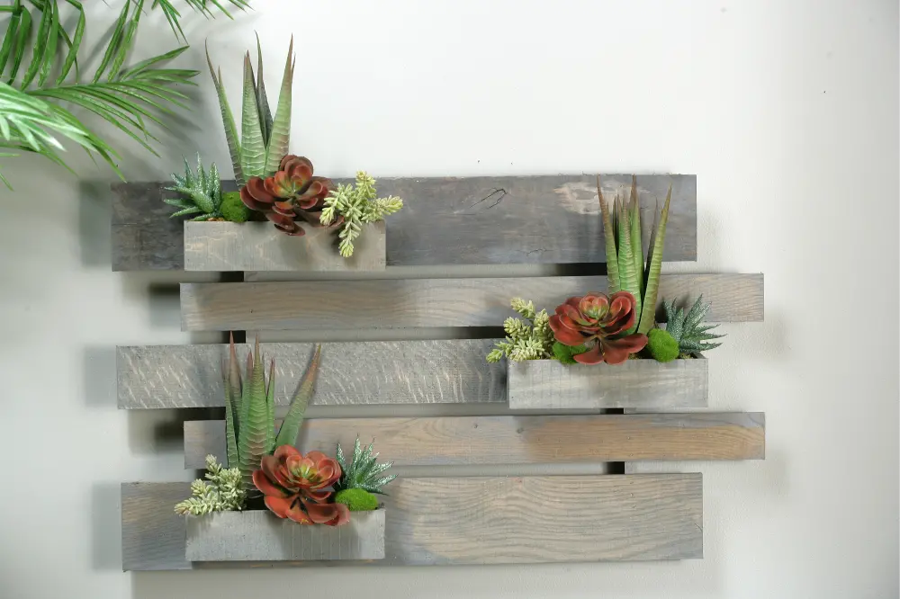 Agave Plants and Echeveria in Hanging Wooden Wall-1