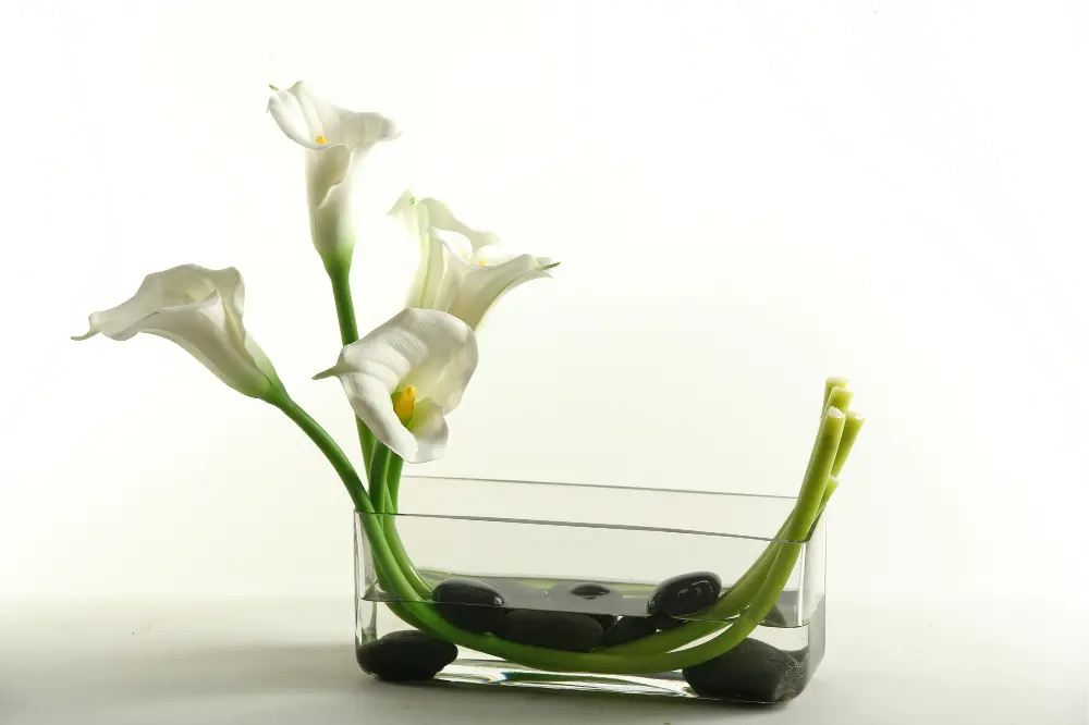 Calla Lilies Arrangement In a Rectangle Glass Vase -1