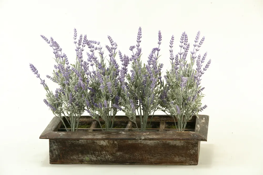 Lavender Arrangement in Wooden Rectangular Planter-1