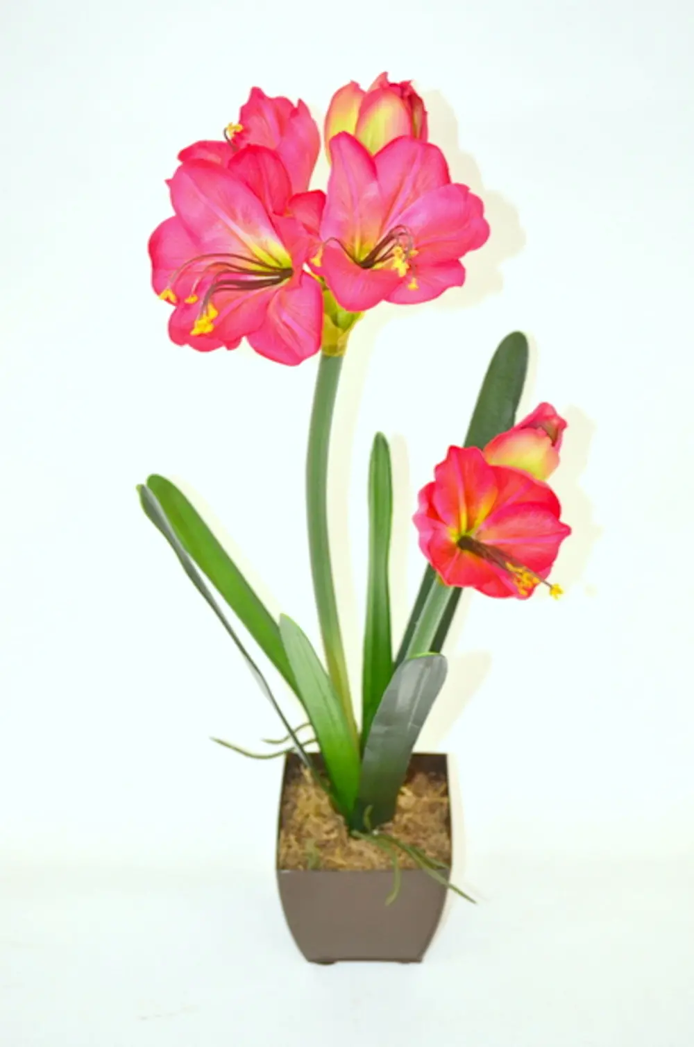 Faux Pink Amaryllis Planted Arrangement-1
