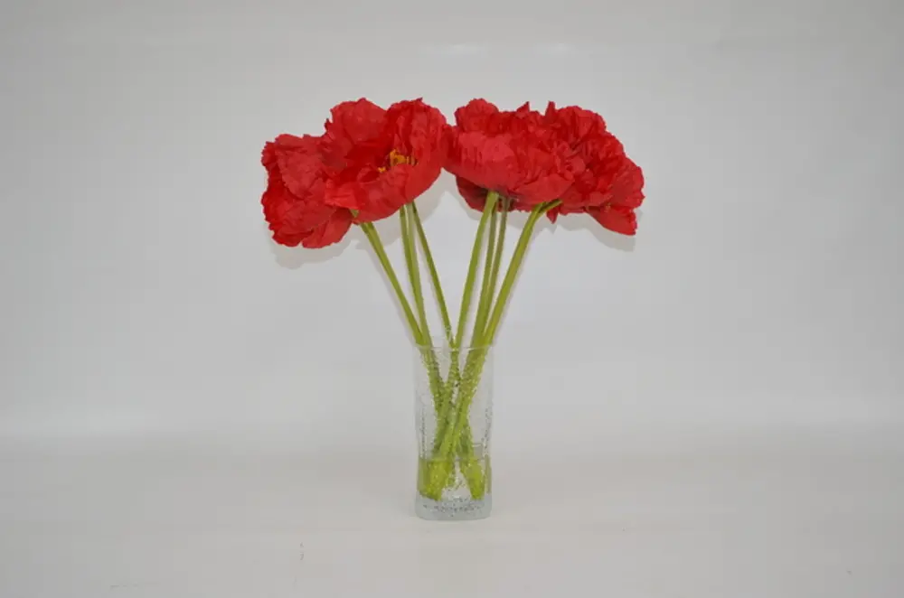 Red Poppies Arrangement In Clear Vase-1