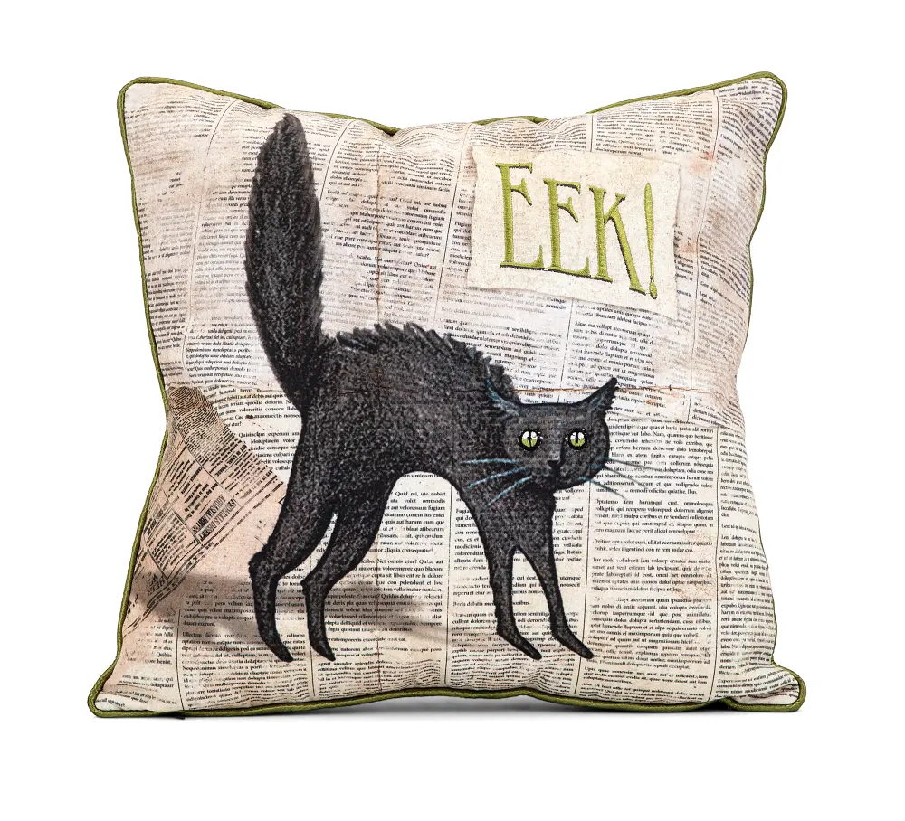 Apothescary Halloween Cat Embroidered Throw Pillow-1