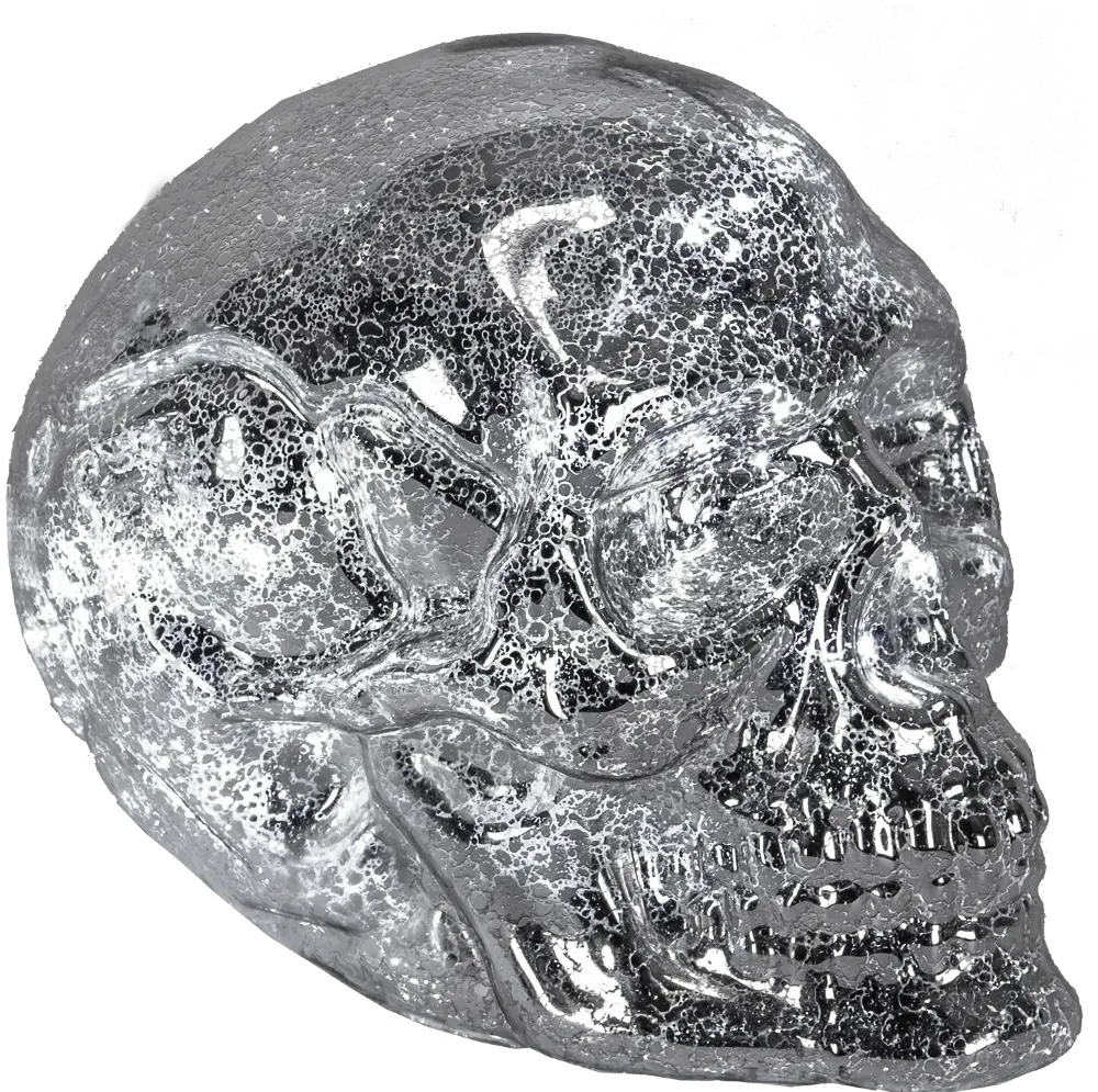Mercury Glass Skull-1