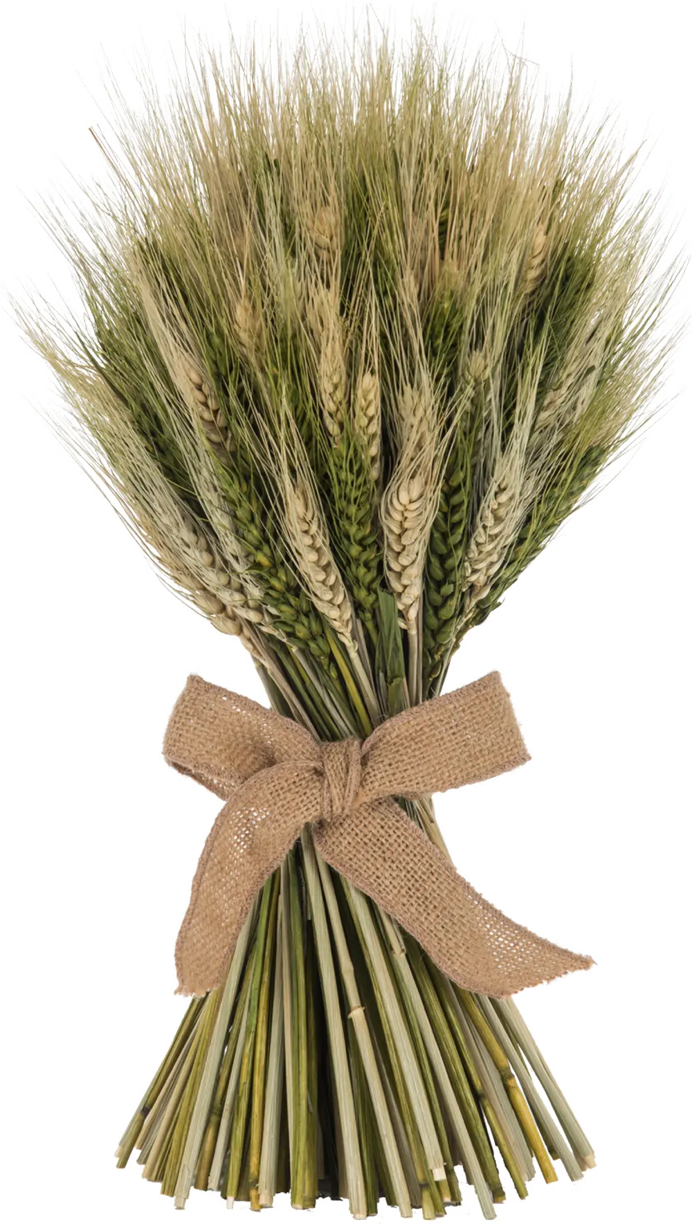 16 Inch Wheat Stack with Green Cycas Leaf with a Jute Bow-1