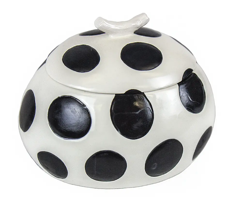 White Ceramic Box Covered in Black Polka Dots-1