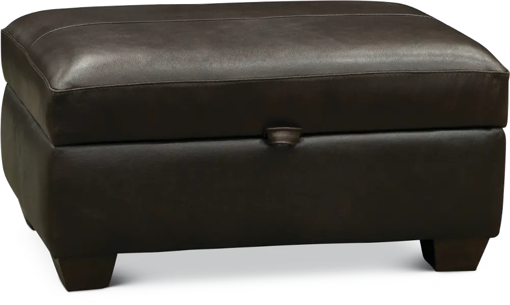 Contemporary Dark Brown Leather Storage Ottoman - Capri-1