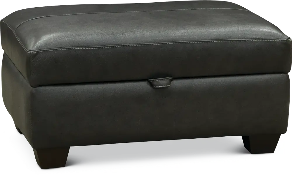 Contemporary Slate Gray Leather Storage Ottoman - Capri-1