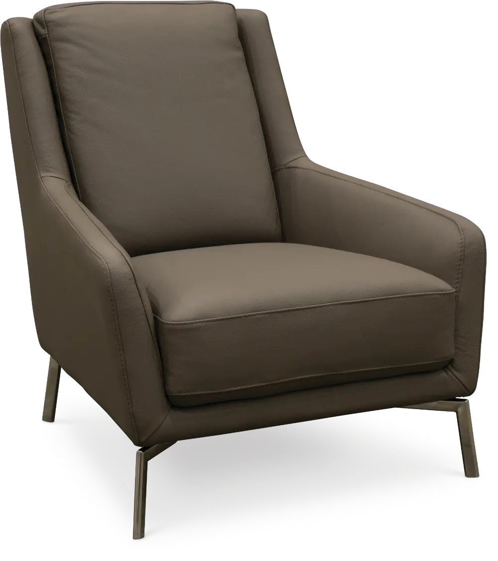 PUELLA-100/VISONE/CH Modern Gray Leather Accent Chair - Tesla-1