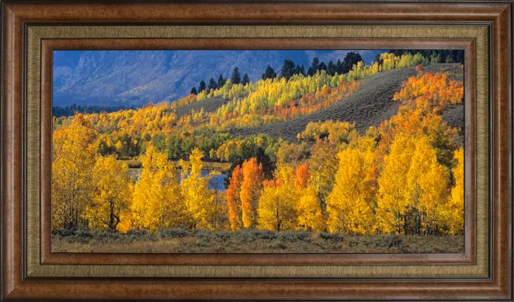 Ranger Peak and Autumn Forest Framed Wall Art-1