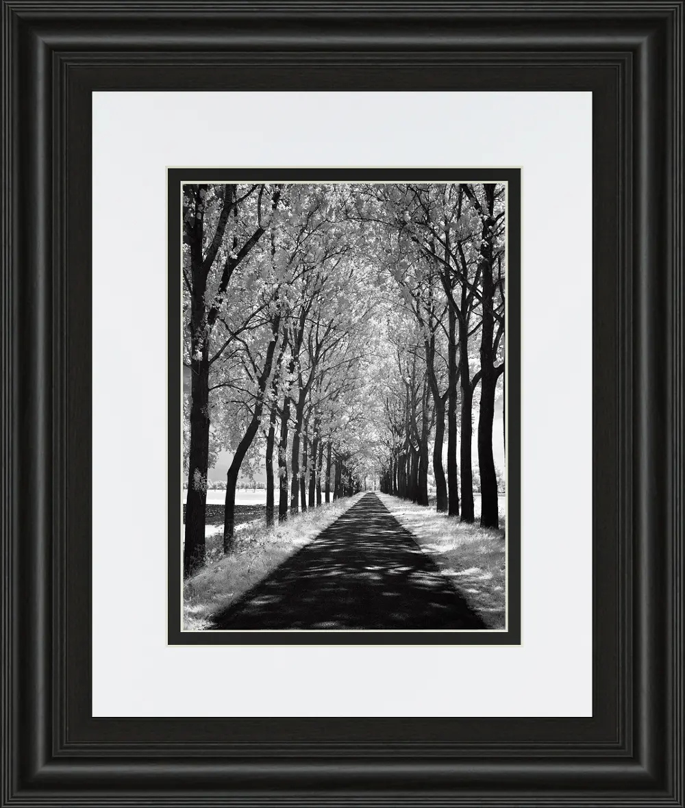Follow Me Black and White Framed Wall Art-1