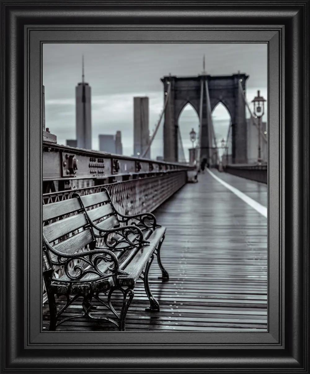 Bridge Beauty Framed Wall Art-1