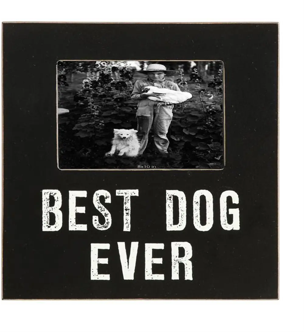 DA7058/BESTDOGEVER 9 Inch Black Best Dog Ever MDF Picture Frame-1