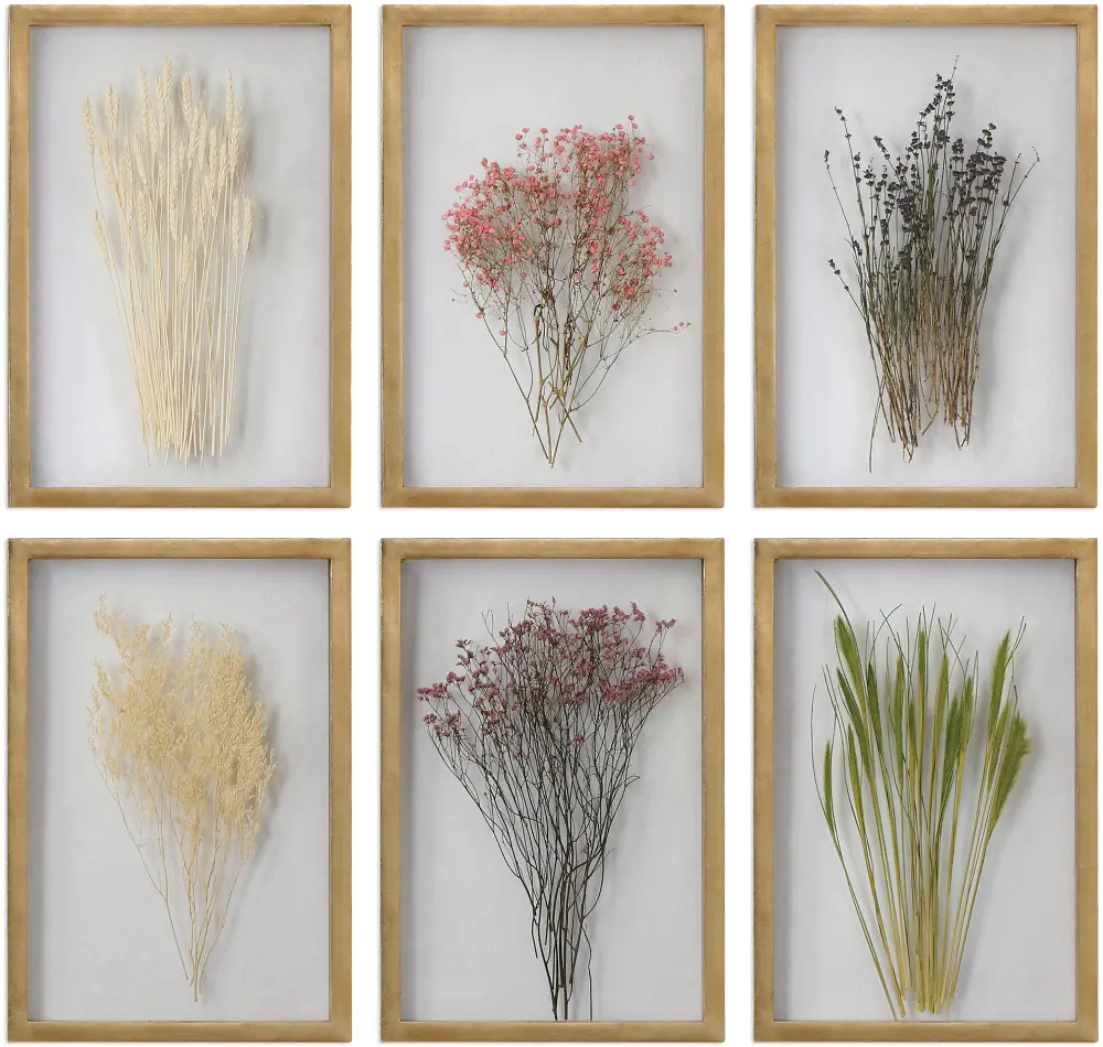 Assorted Preserved Blossoms Wall Art-1