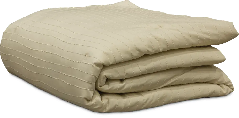 Ivory Queen Plus Comforter - Taylor Bedding Collection-1
