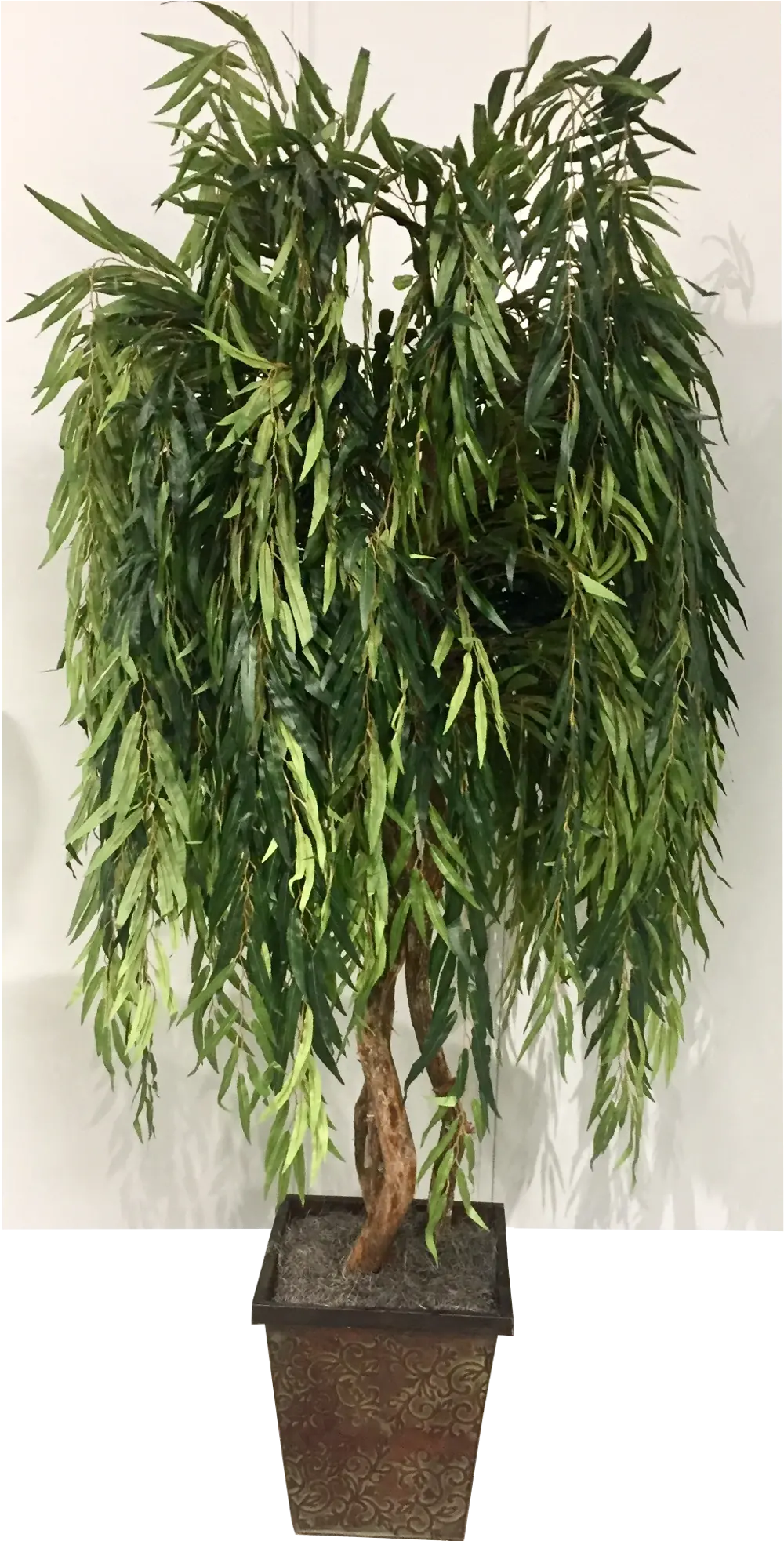 7 Foot Weeping Willow Tree Arrangement-1