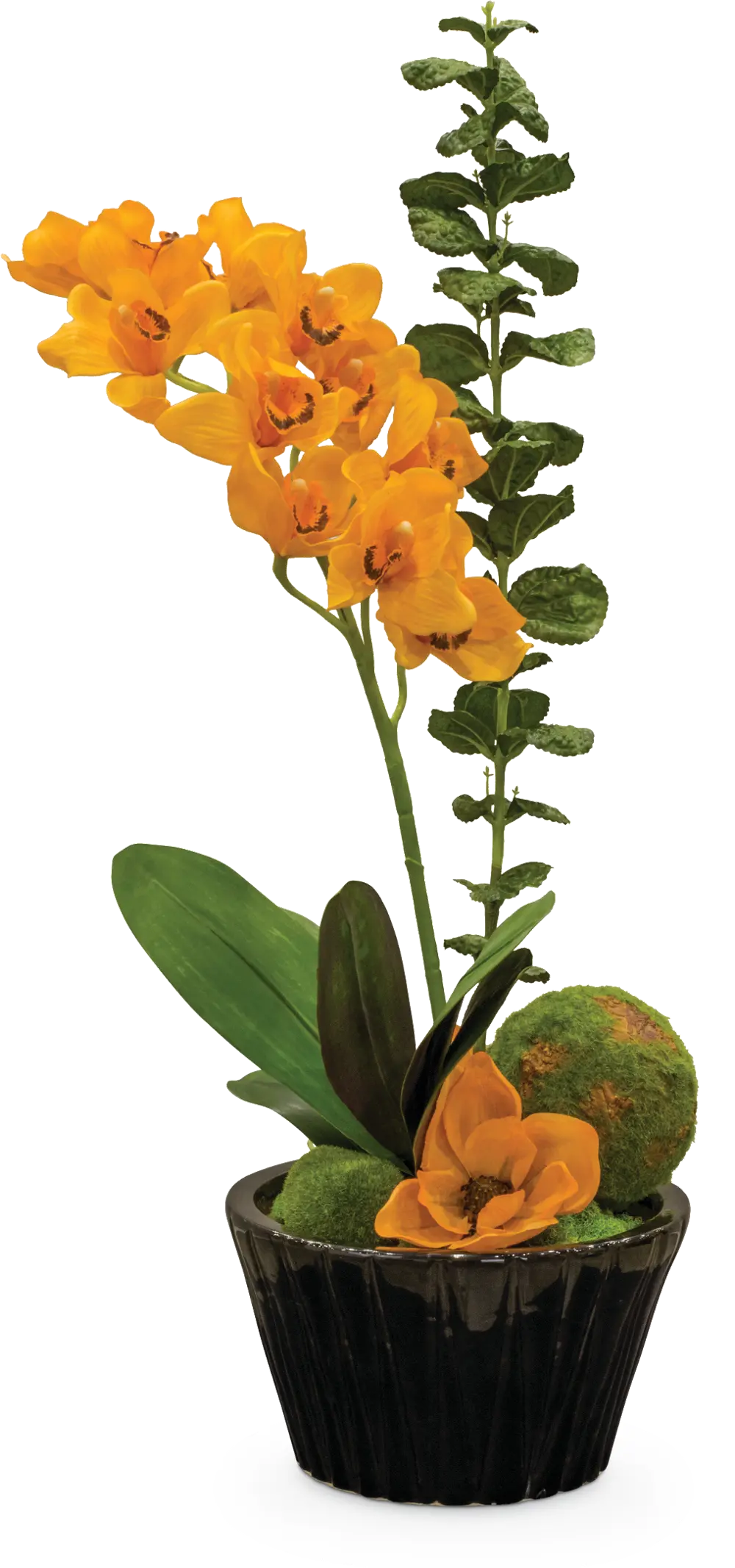 34 Inch Orange Orchids Arrangement With Moss Balls-1