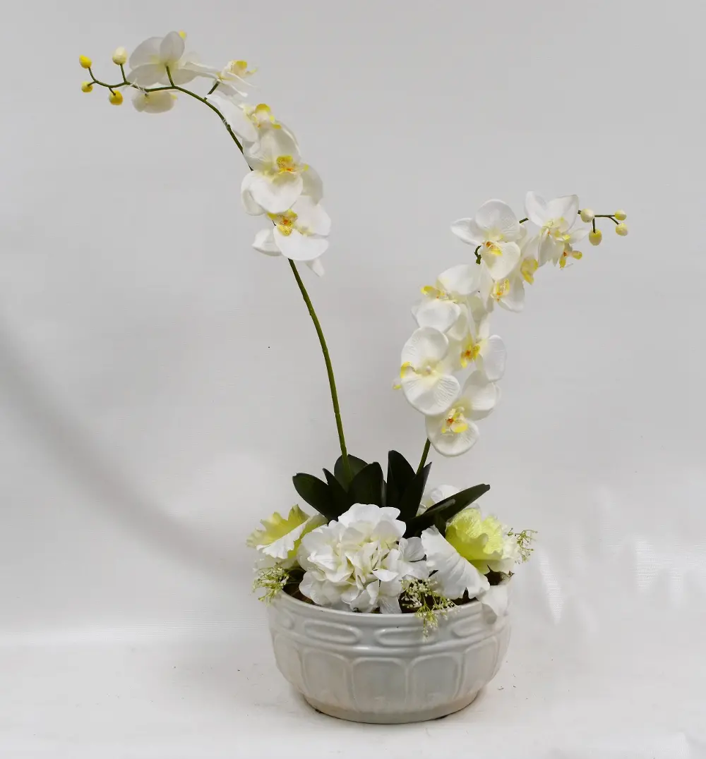 33 Inch White Orchid Arrangement In White Pot-1