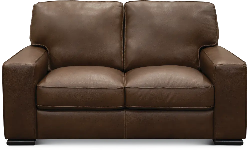 U291-005/10YR/LV Classic Contemporary Brown Leather Loveseat - Luciano -1