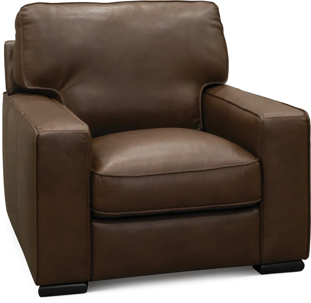 U291-003/10YR/CH Classic Contemporary Brown Leather Chair - Luciano-1