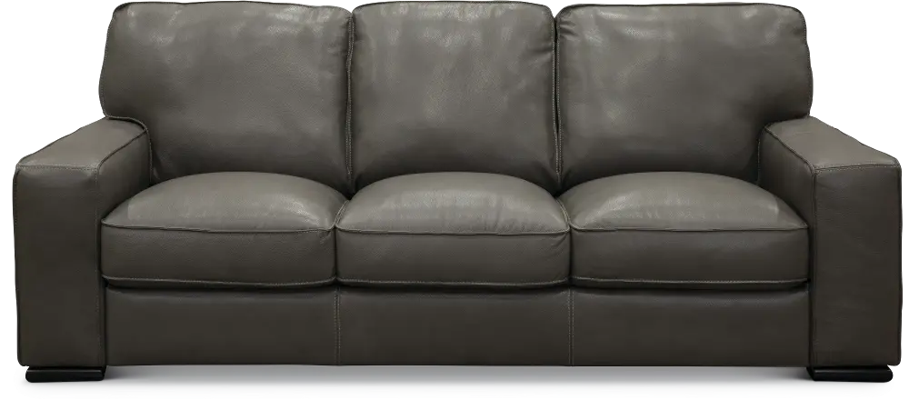 U291-064/10YO/SO Classic Contemporary Gray Leather Sofa - Luciano -1