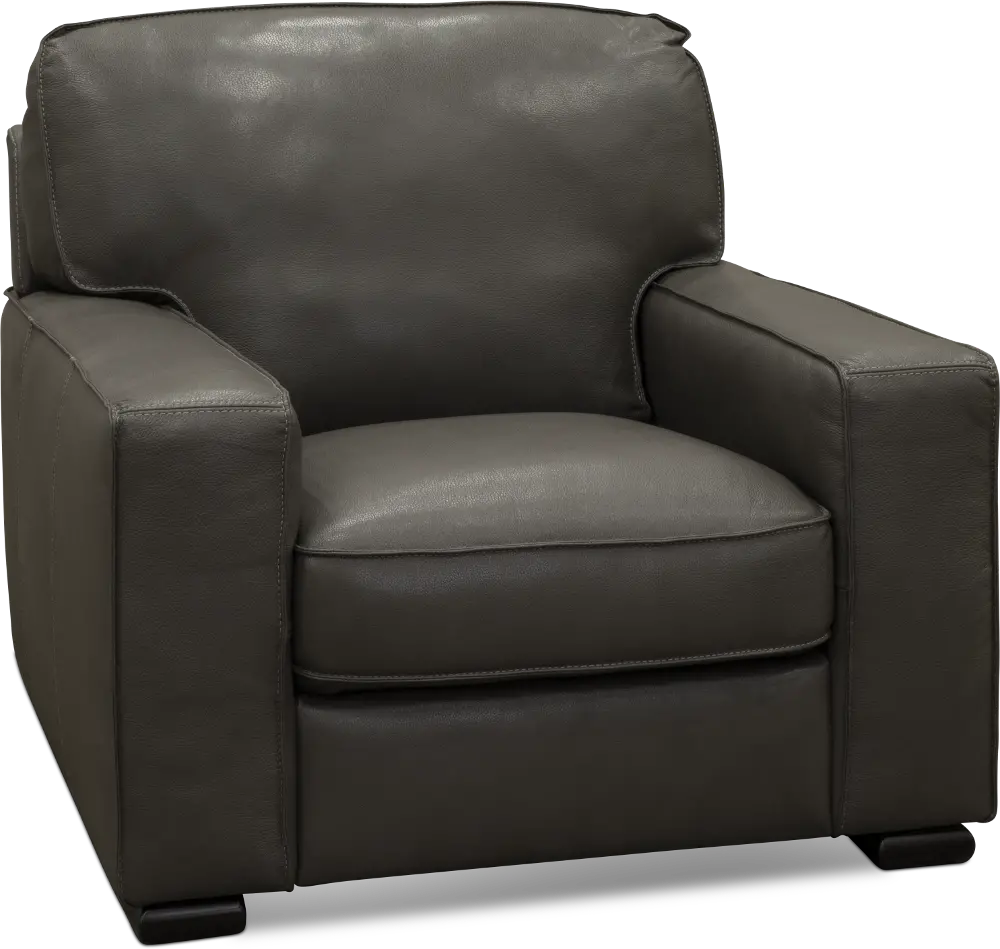 U291-003/10YO/CH Classic Contemporary Gray Leather Chair - Luciano-1