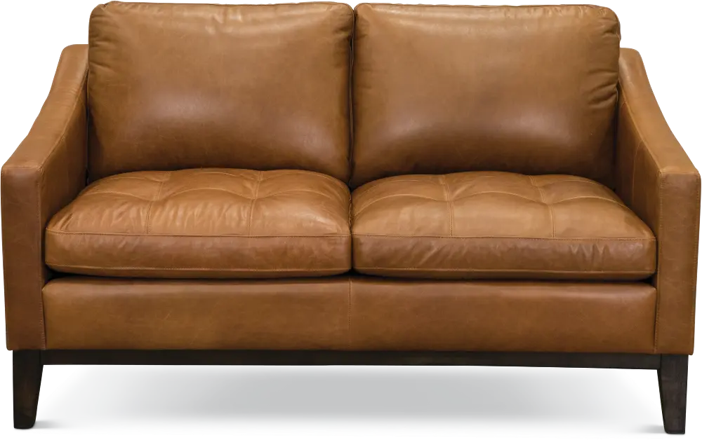 Mid Century Modern Chestnut Brown Leather Loveseat - Monza-1