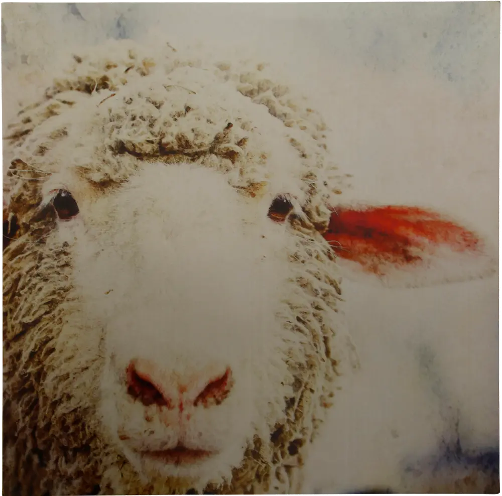 Patsy Sheep Print on Metal Panel Wall Art-1
