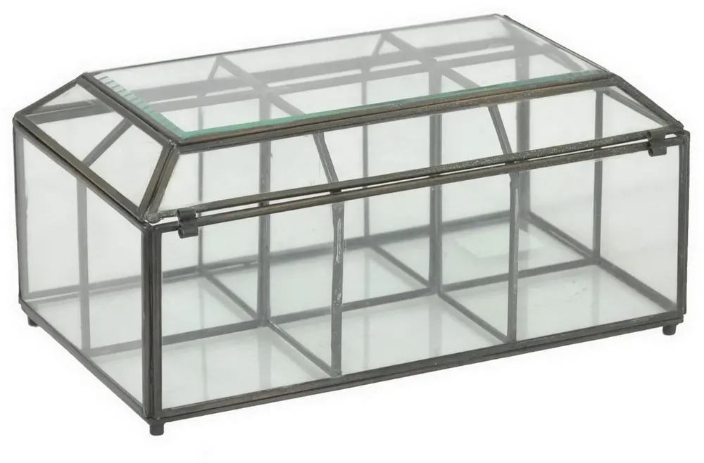 Glass Box with Dividers-1