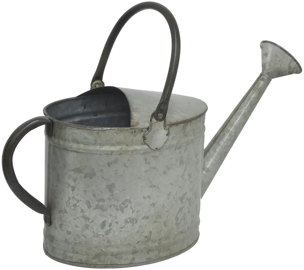 Galvanized Metal Watering Can With Handles-1