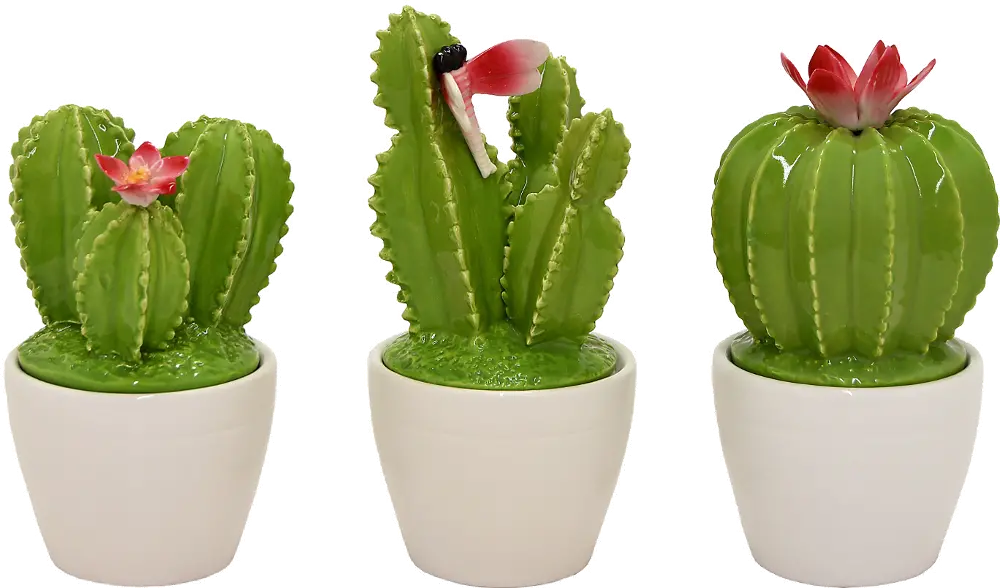 Assorted Green Ceramic Cactus Topped Jar-1