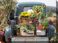 Fresh Produce Patio Canvas Outdoor Indoor Wall Art Rc Willey Furniture Store