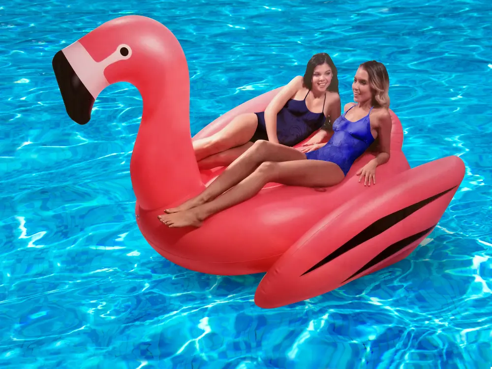 Flamingo 2 Person Pool Float-1