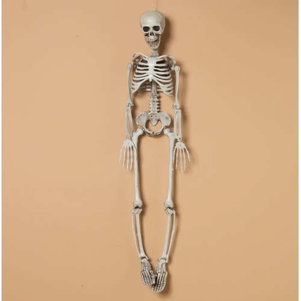 36 Inch Hanging Plastic Halloween Skeleton-1
