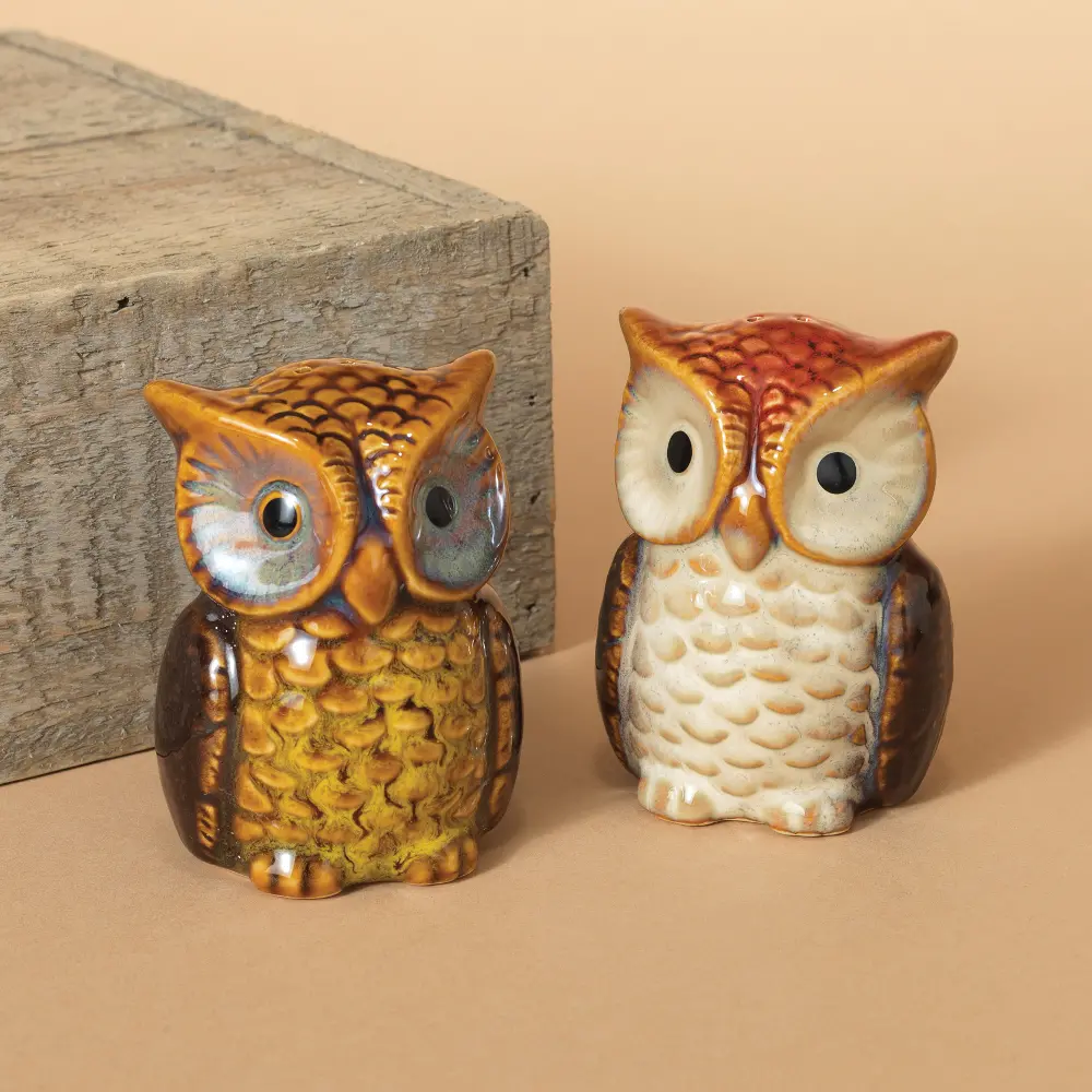 Multi-Color Stoneware Owl Salt and Pepper Shaker Set-1