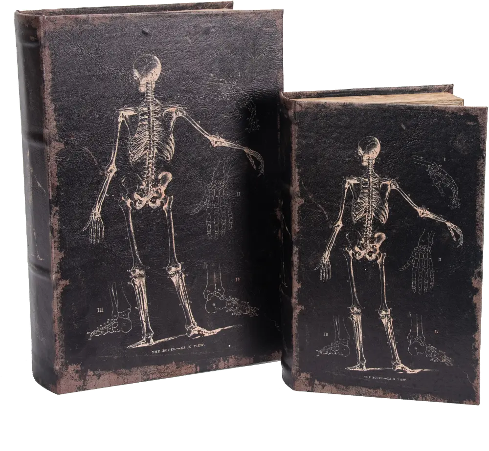 10 Inch Skeleton Antique Book Box-1