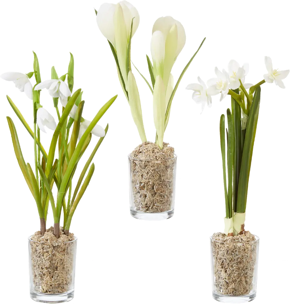 Assorted Potted White Flower Arrangement-1