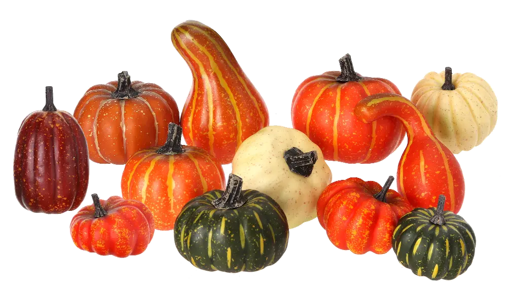 2-4 Inch Mixed Harvest Box of Pumpkins and Gourds-1