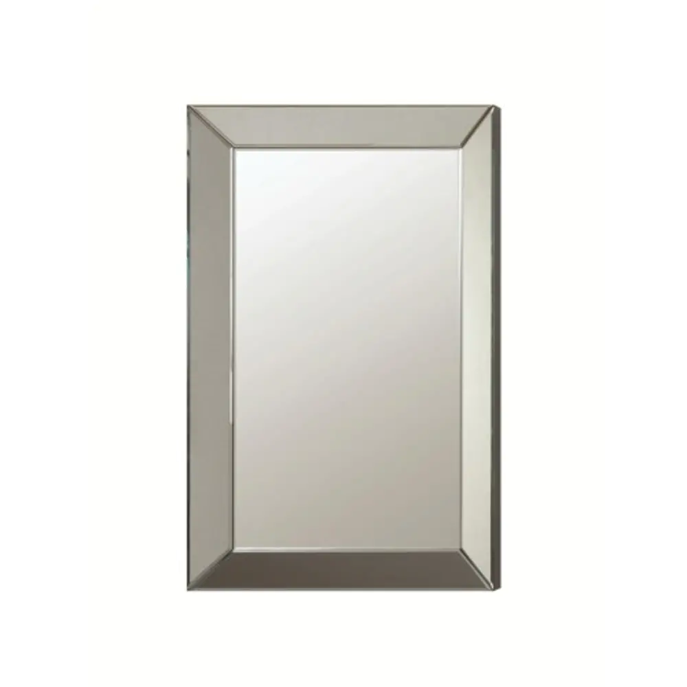 Transitional Rectangle Accent Wall Mirror-1