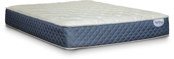 Twin Mattress Rc Willey Furniture Rcw1gb 1010 Sleep Inc Plush Twin Mattress Gabrielle