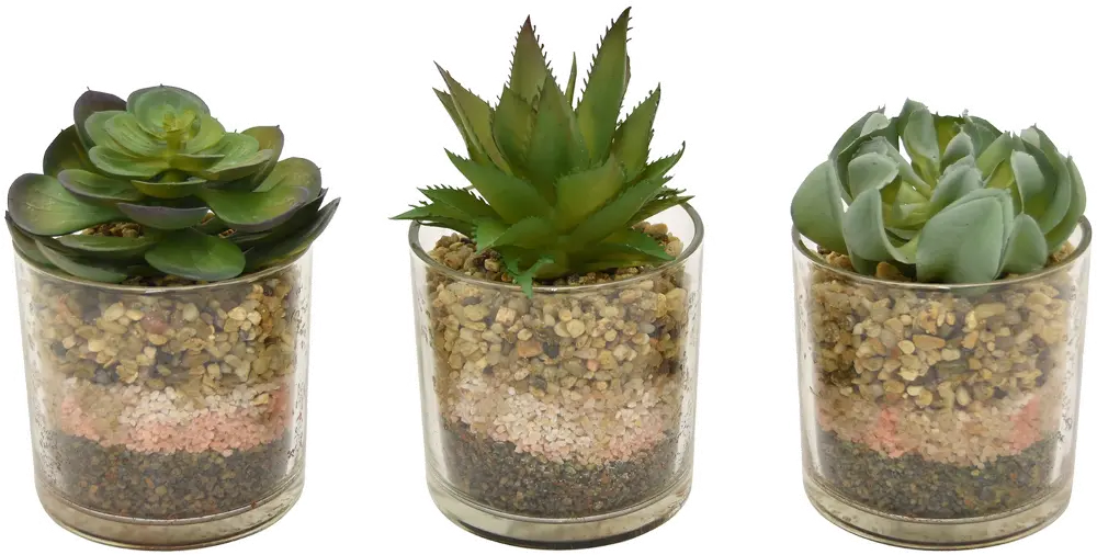 Assorted Green Succulent Arrangement in Pot-1