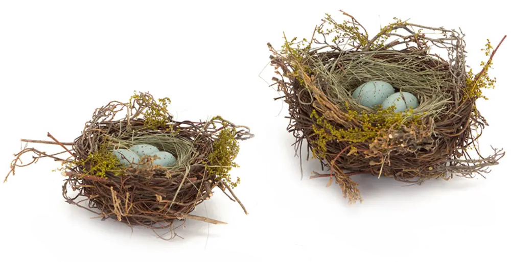 Set of 2 Robins Nests With Eggs-1
