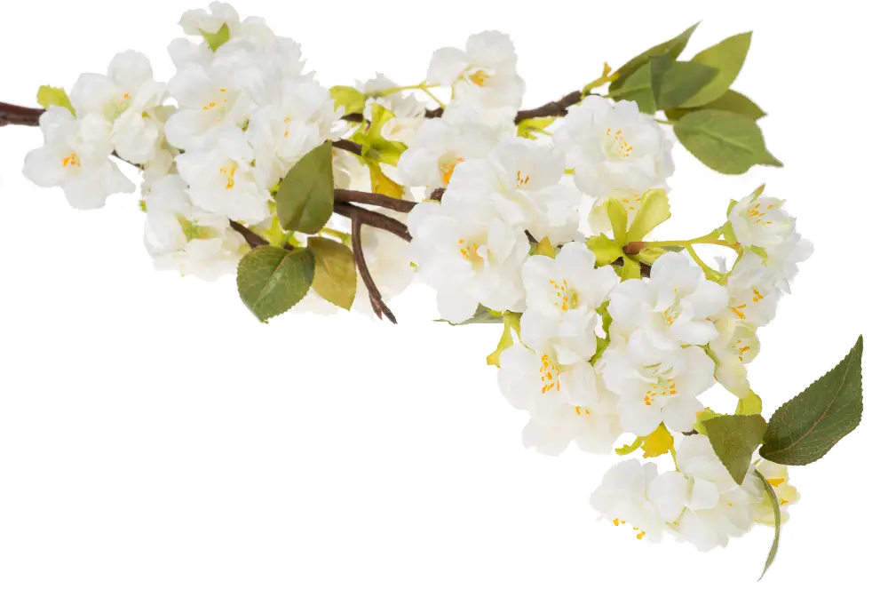 Magnolia Home Furniture Faux Blossoms Branch for Arrangement-1