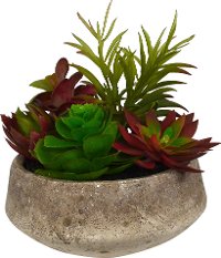 9 Inch Multi Color Succulent Garden Arrangement In Ceramic Pot Rc Willey Furniture Store
