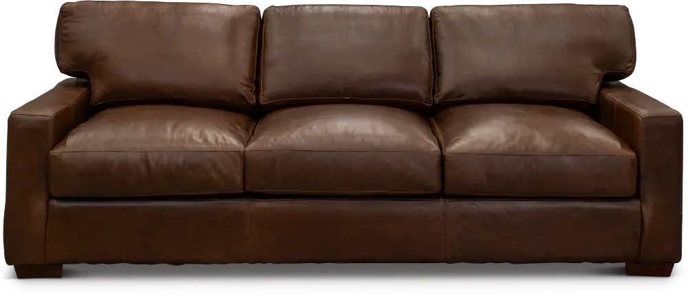 Contemporary Brown Leather Sofa - Native-1