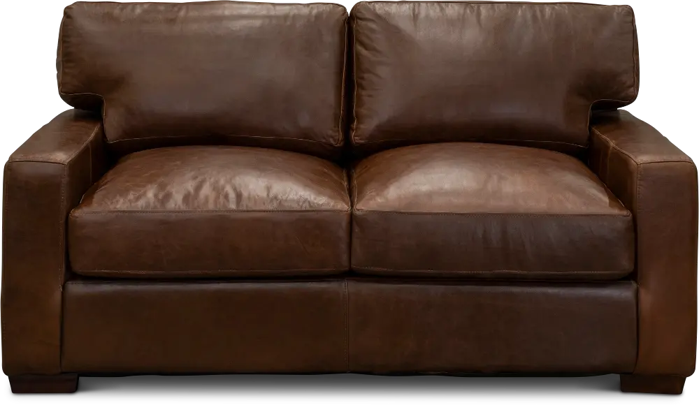 Contemporary Brown Leather Loveseat - Native-1