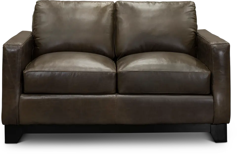 Contemporary Gray Brown Leather Loveseat - Maui-1