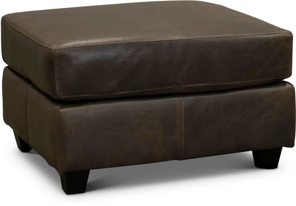 Contemporary Gray Brown Leather Ottoman - Maui-1