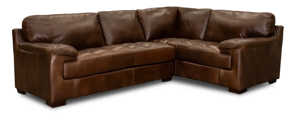 Brown Leather 2 Piece Sectional Sofa with LAF Sofa - Rhodes-1