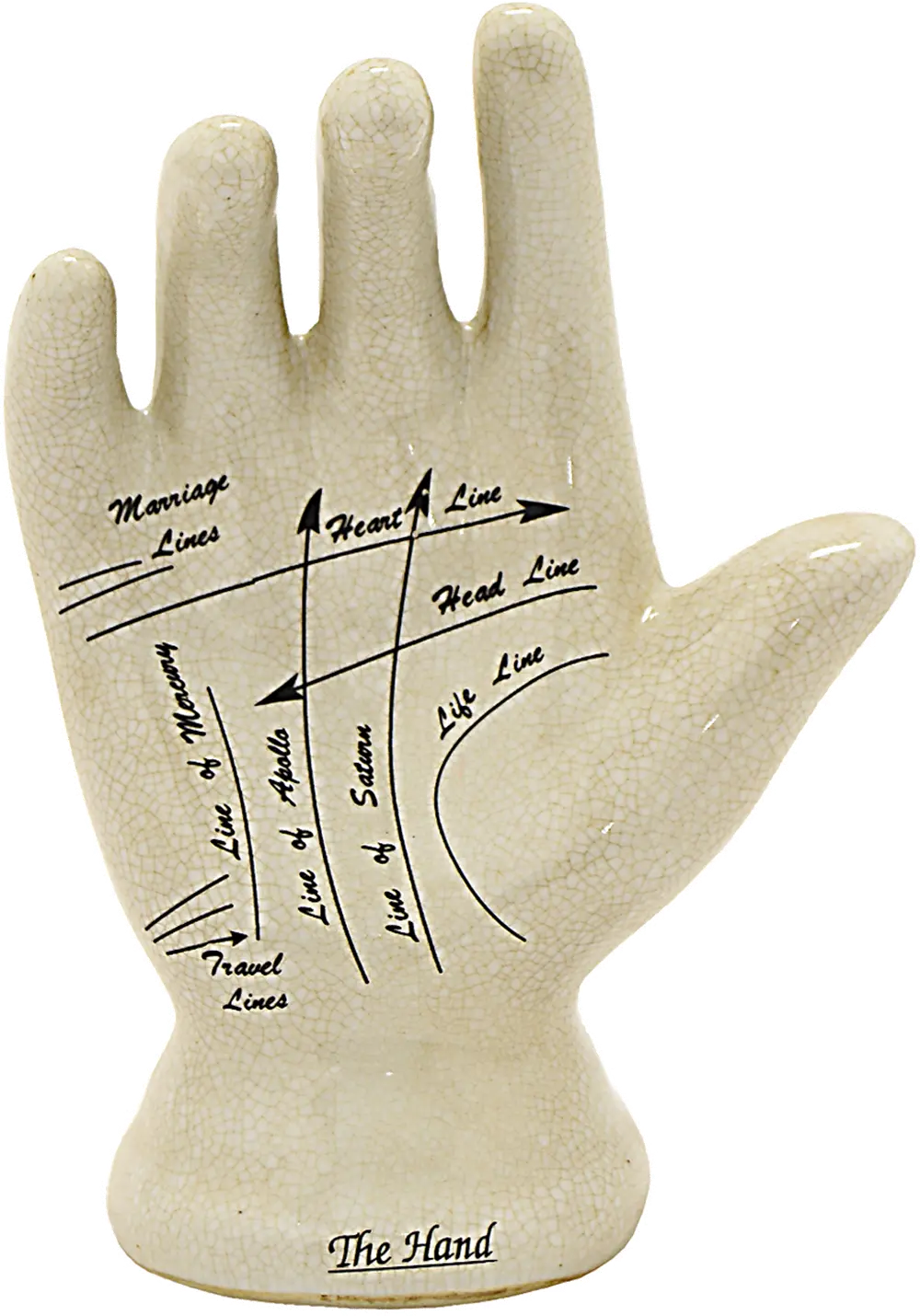 White Phrenology Hand Sculpture-1