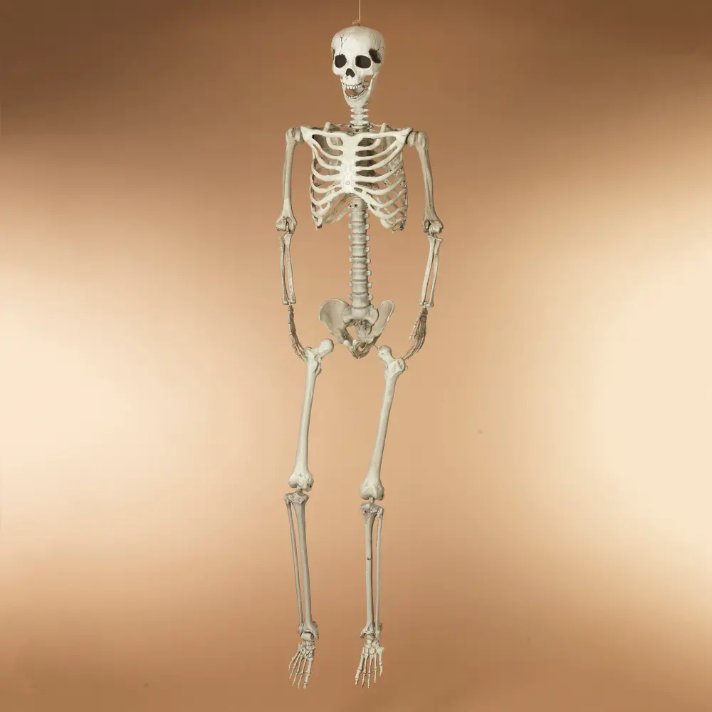 70 Inch Moldable Sitting and Hanging Skeleton Figurine-1